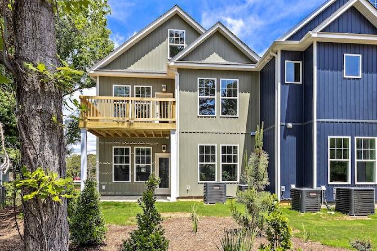 Chestnut elevation 6
