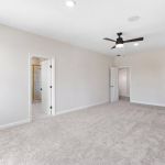 Chestnut interior 6