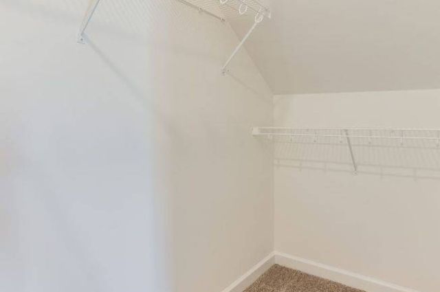 FROG closet